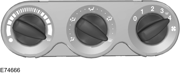 Image Shown Without Description