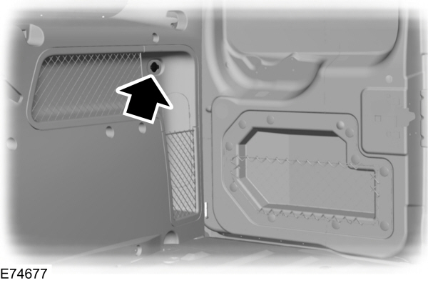 Image Shown Without Description