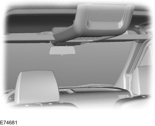 Image Shown Without Description