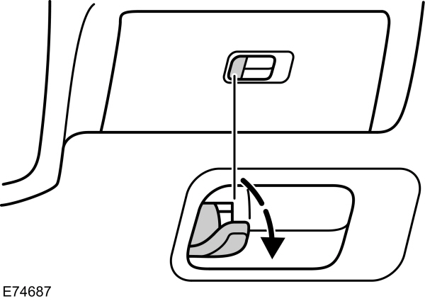 Image Shown Without Description