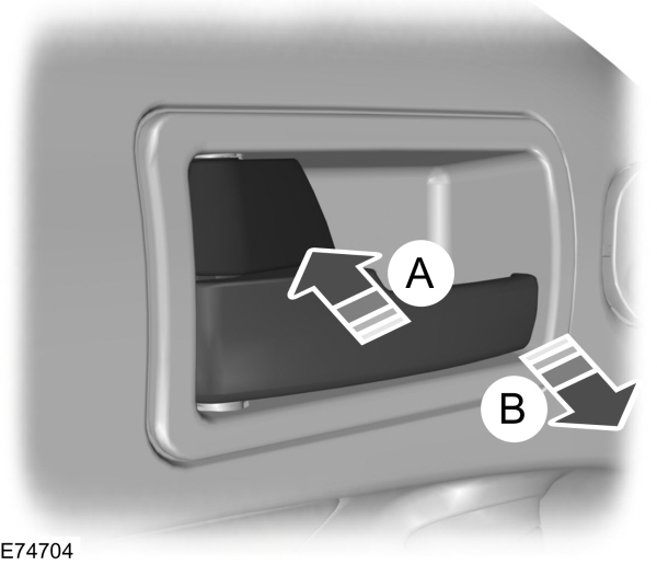 Image Shown Without Description
