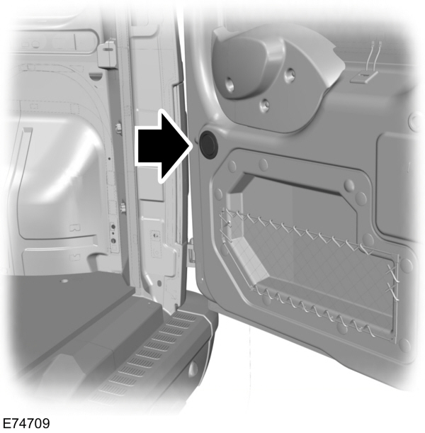 Image Shown Without Description