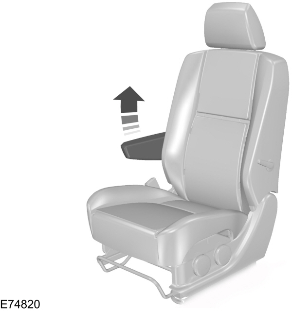 Image Shown Without Description