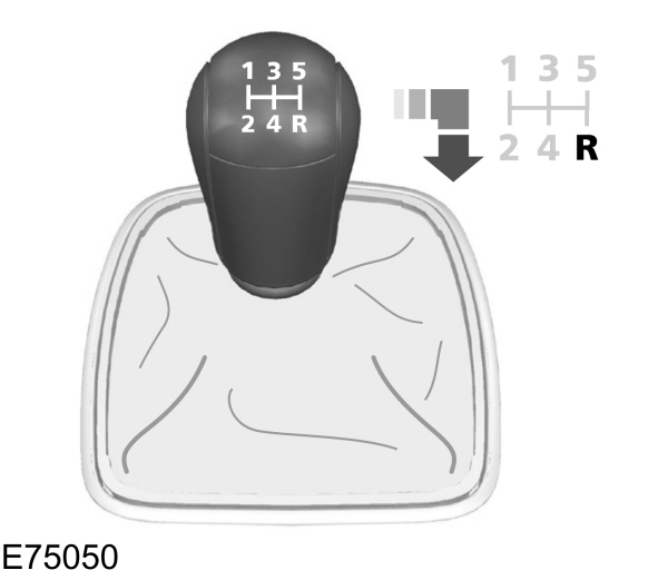 Image Shown Without Description