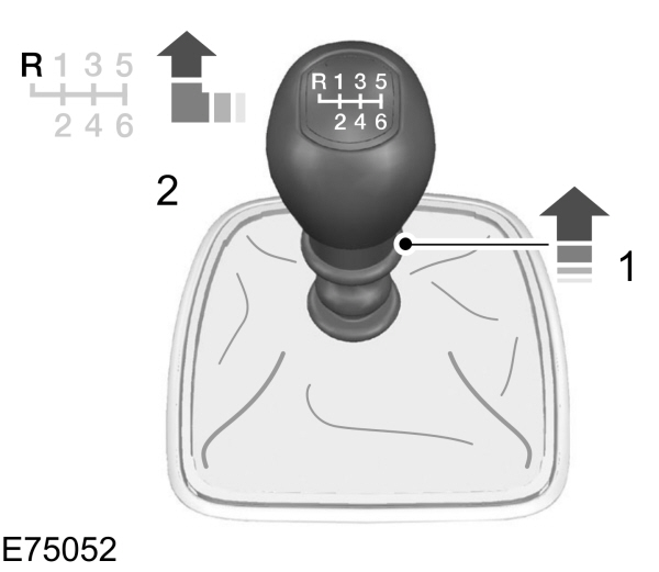 Image Shown Without Description