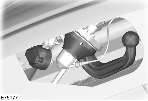 Image Shown Without Description