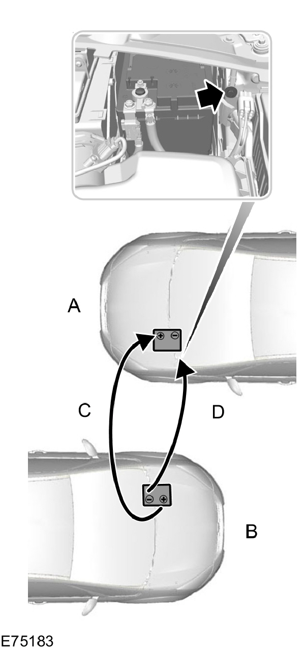 Image Shown Without Description