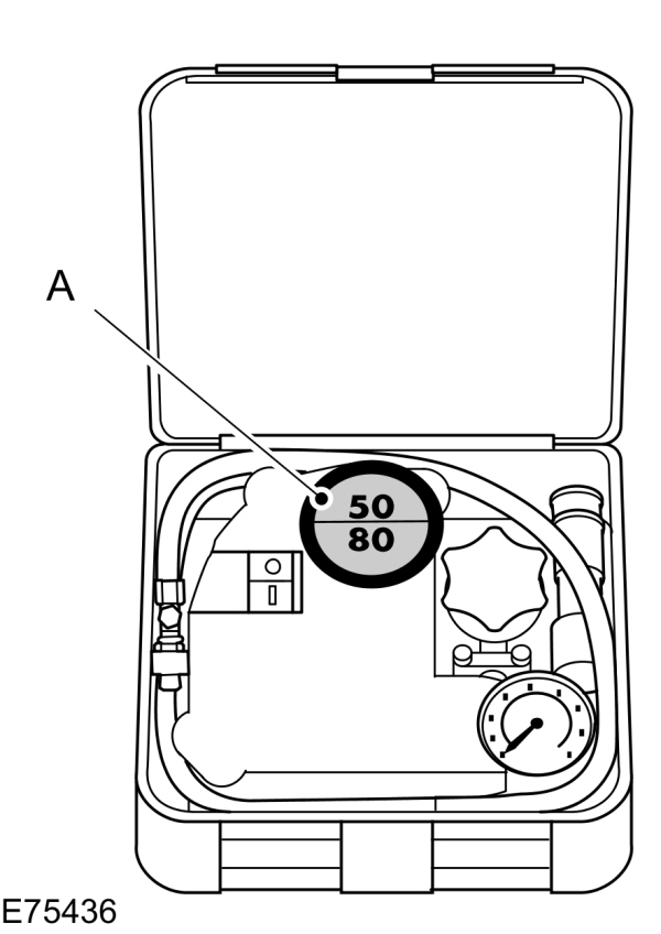 Image Shown Without Description