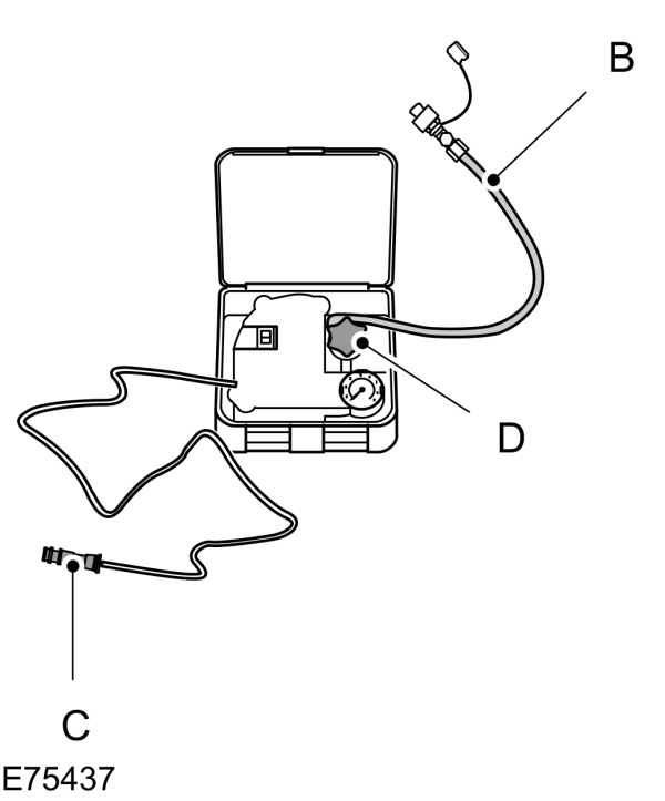 Image Shown Without Description