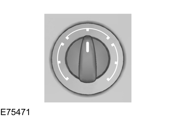 Image Shown Without Description