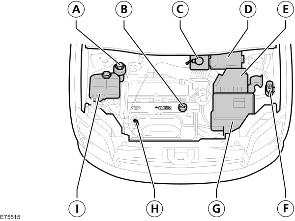 Image Shown Without Description