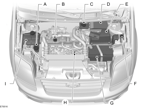 Image Shown Without Description
