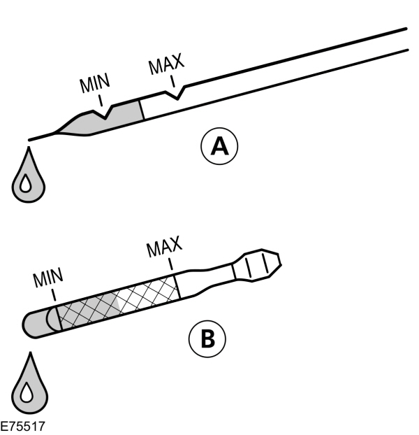 Image Shown Without Description