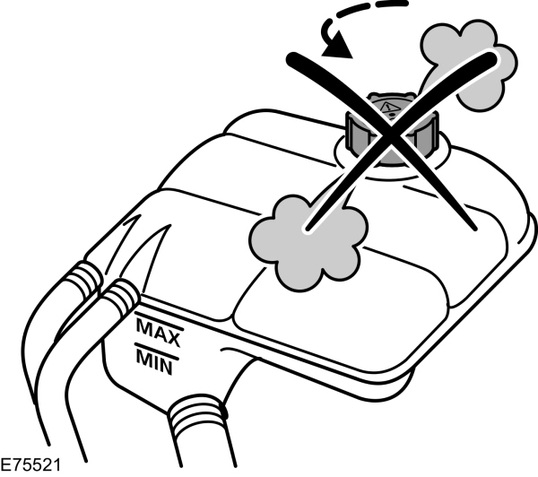 Image Shown Without Description