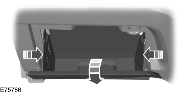 Image Shown Without Description