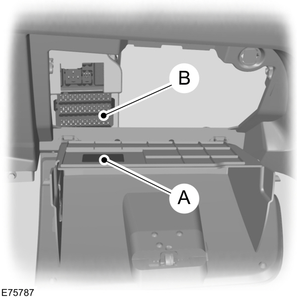 Image Shown Without Description