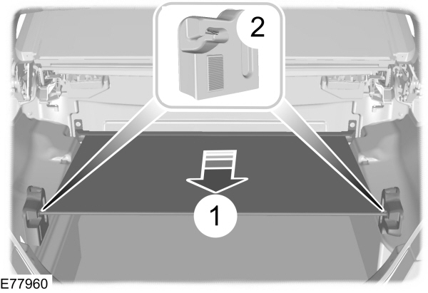 Image Shown Without Description