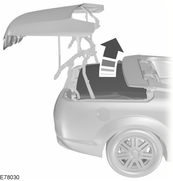 Image Shown Without Description