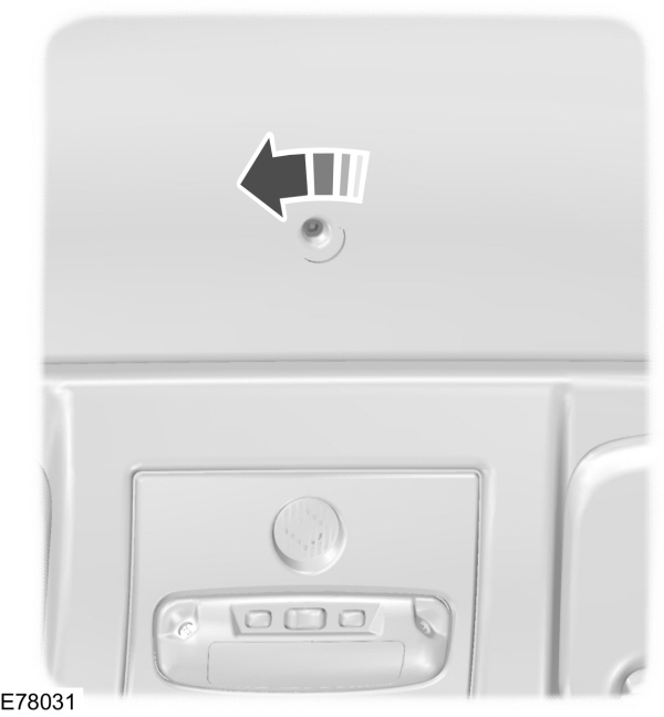Image Shown Without Description