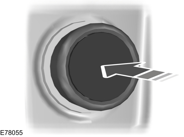 Image Shown Without Description