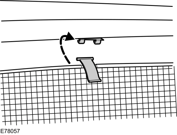 Image Shown Without Description