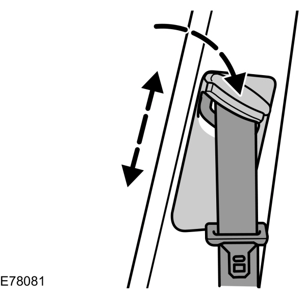 Image Shown Without Description