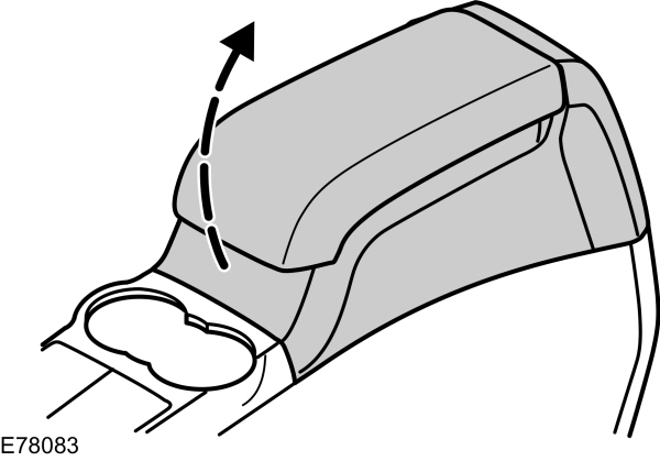 Image Shown Without Description