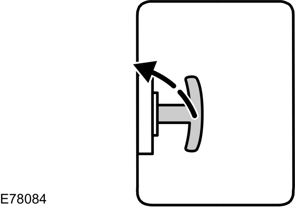 Image Shown Without Description