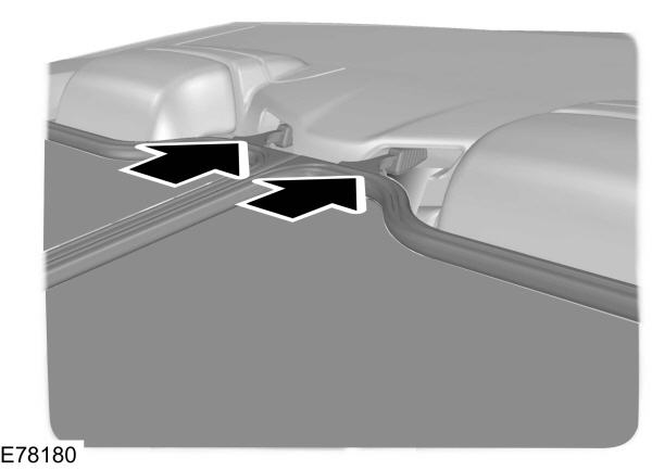 Image Shown Without Description