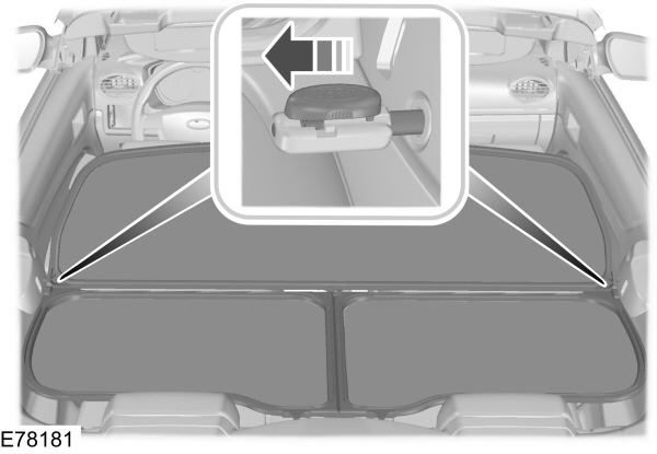 Image Shown Without Description
