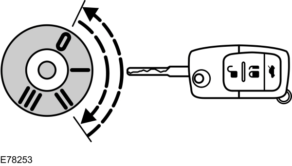 Image Shown Without Description