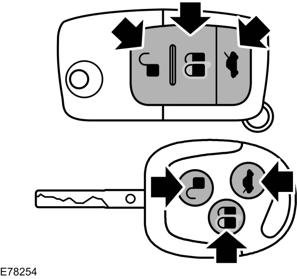 Image Shown Without Description