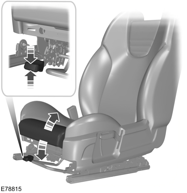 Image Shown Without Description