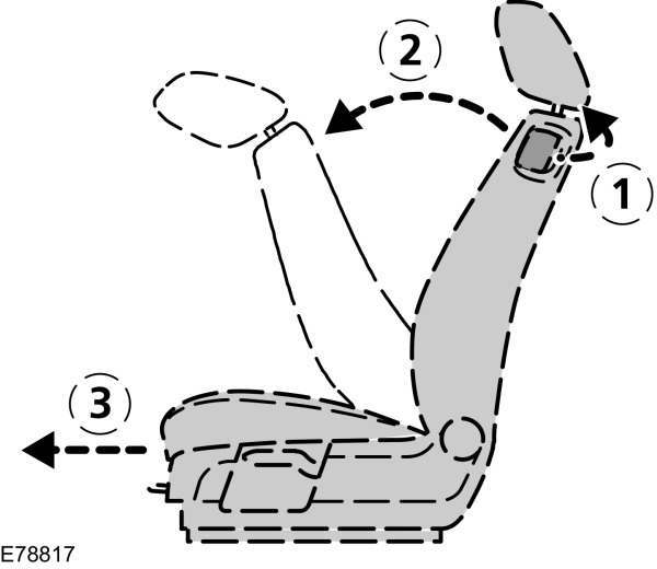 Image Shown Without Description