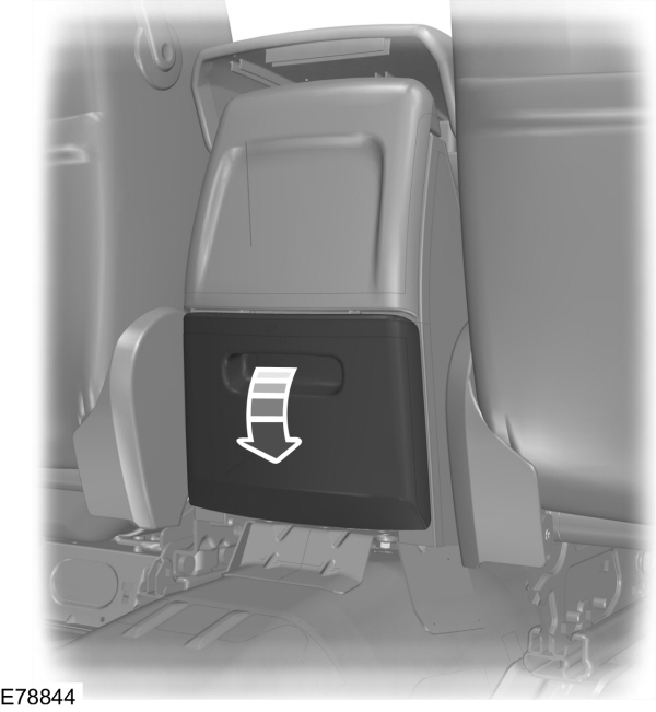 Image Shown Without Description