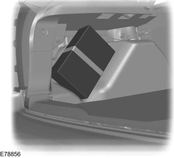 Image Shown Without Description