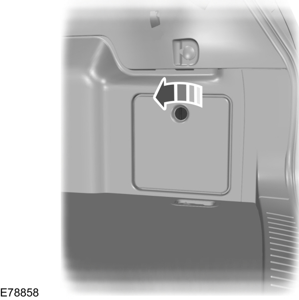 Image Shown Without Description