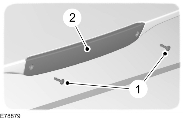 Image Shown Without Description