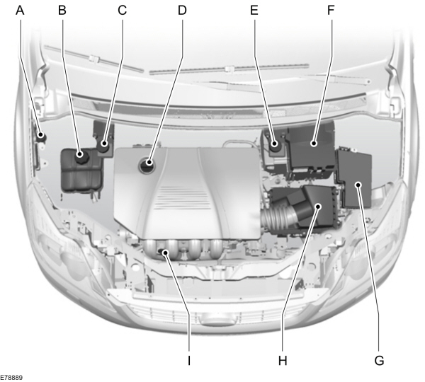 Image Shown Without Description