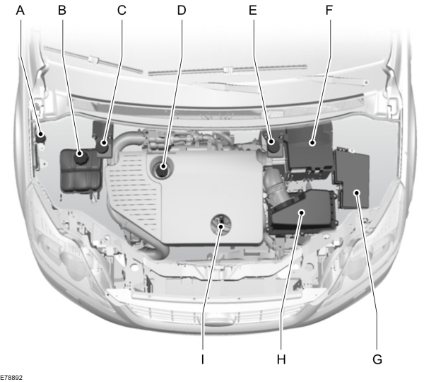 Image Shown Without Description