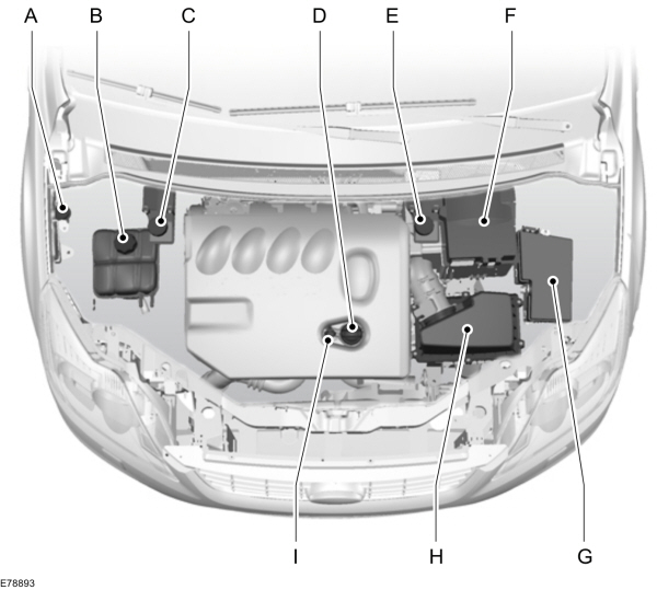 Maintenance - Under Bonnet Overview 2.0L (Puma)