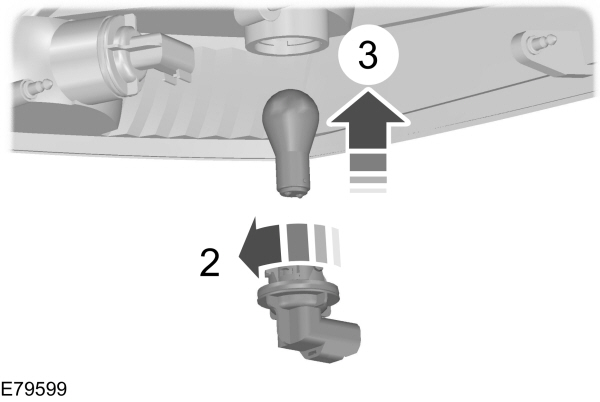 Image Shown Without Description