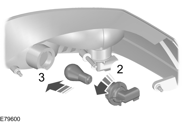 Image Shown Without Description