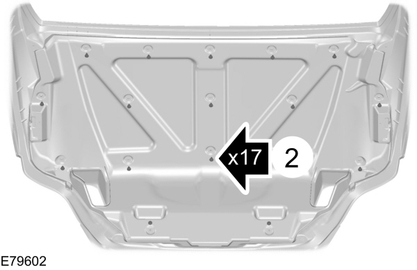 Image Shown Without Description