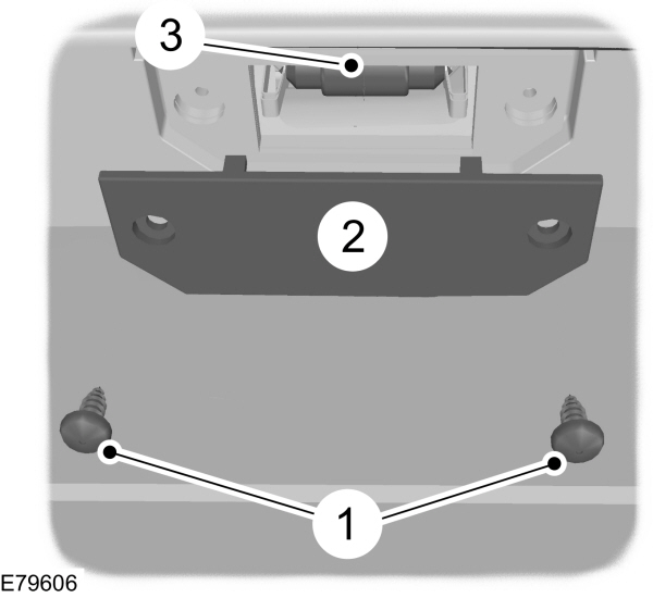 Image Shown Without Description
