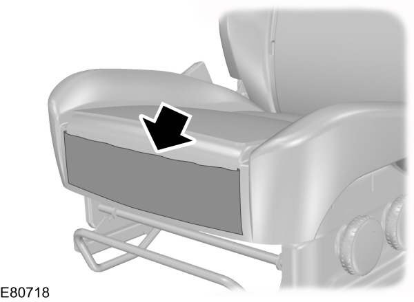 Image Shown Without Description