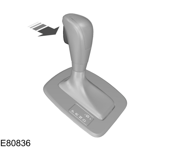 Image Shown Without Description