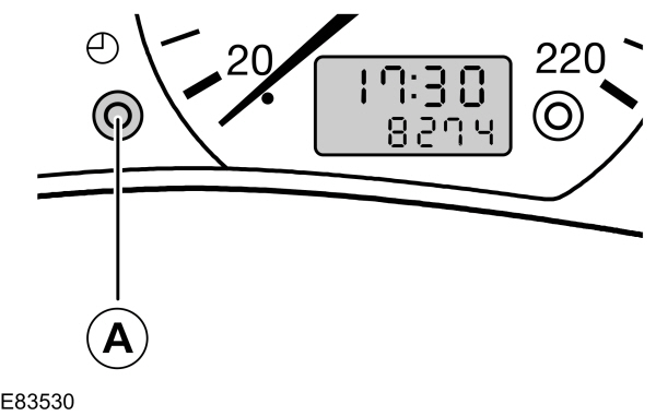 Image Shown Without Description