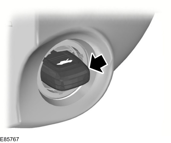 Image Shown Without Description