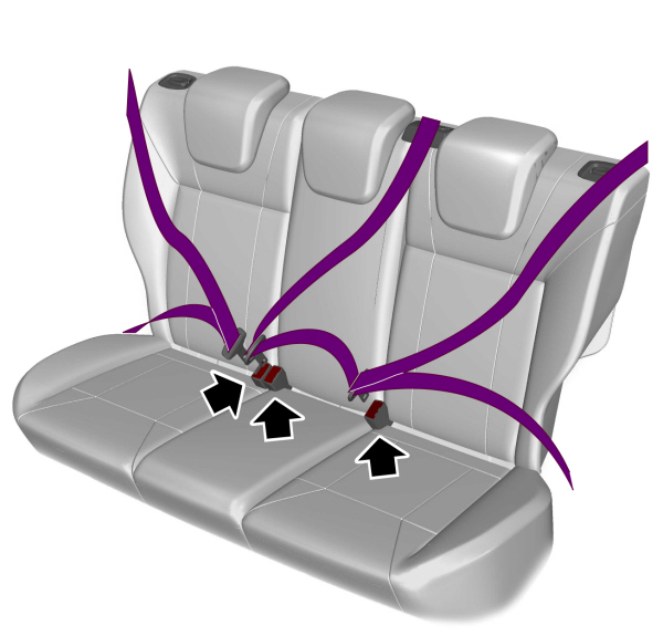 Rear Seat Belts